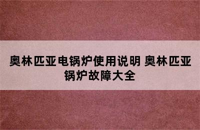 奥林匹亚电锅炉使用说明 奥林匹亚锅炉故障大全